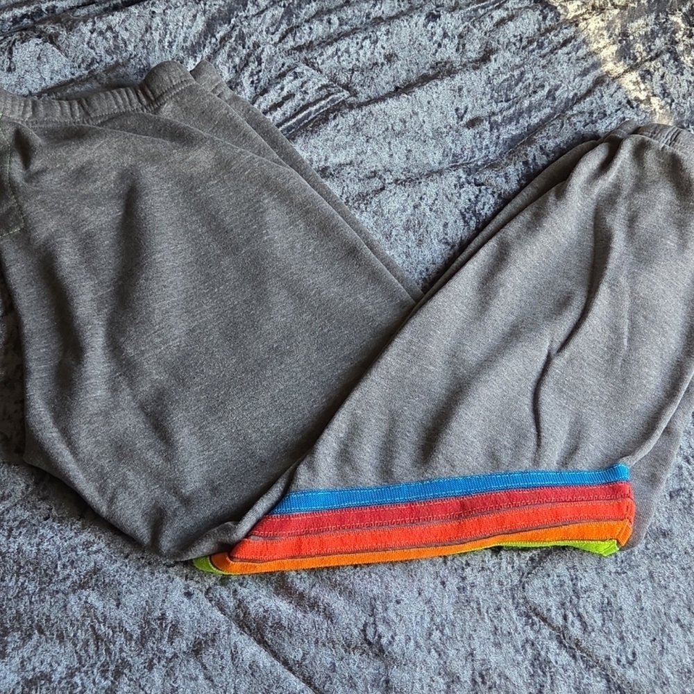 Avaitor Nation Gray Sweatpants with Neon Stripes - Picture 7 of 7